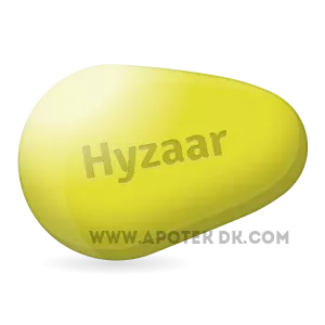 Kop_Hyzaar_online