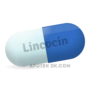 Buying_Lincocin_online